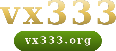 vx333 logo